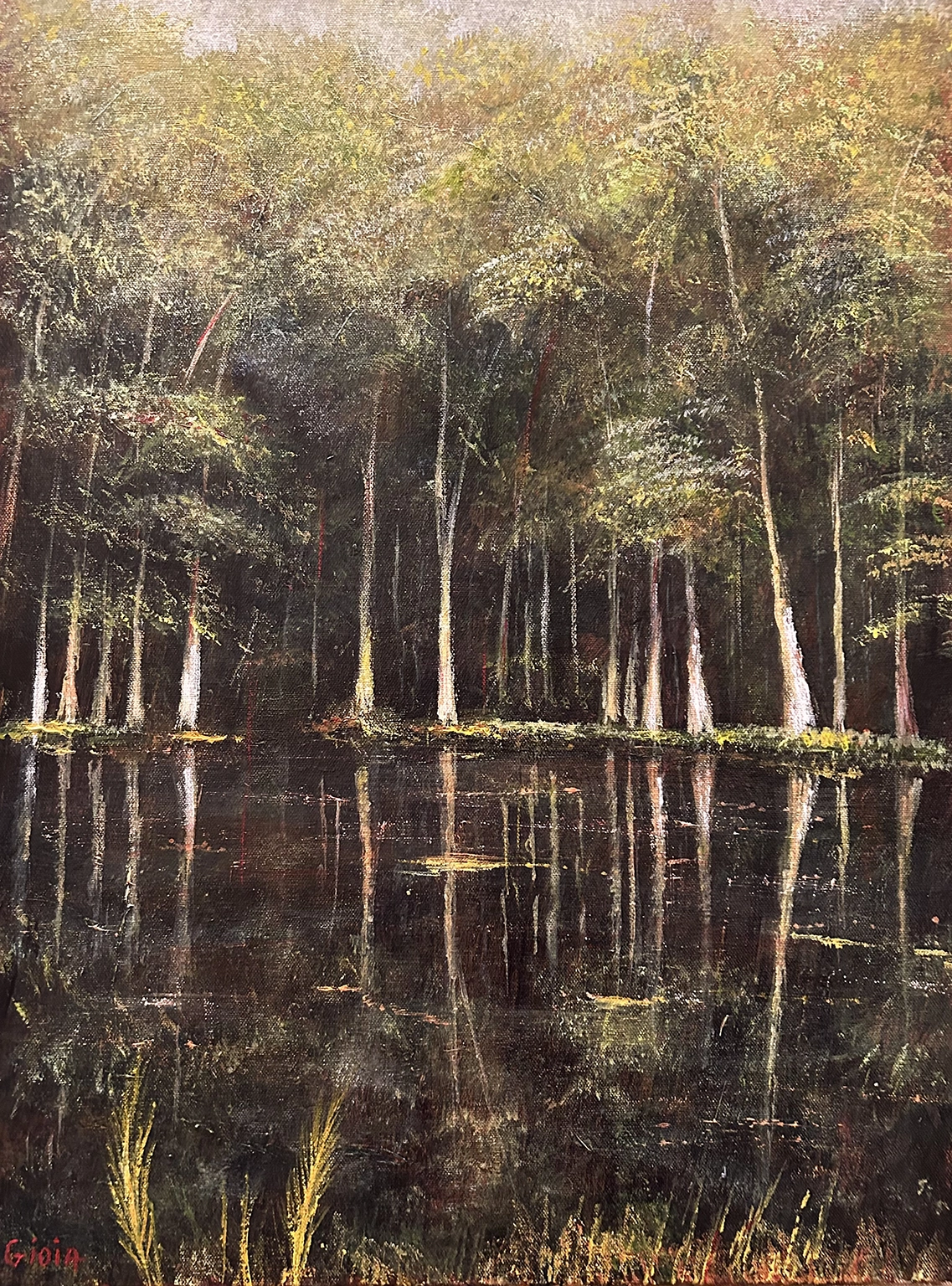 Summer Cypress, a Florida cypress swamp painting by Dean Gioia depicting tall cypress trees reflected in dark still water, acrylic on canvas, 24x20 inches