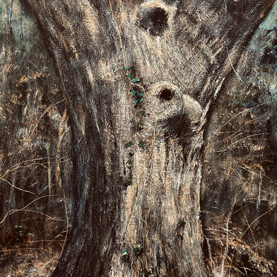 oakinspringlight-36×24-3500